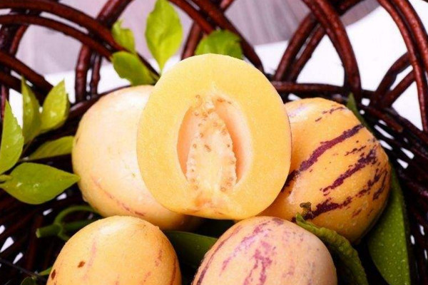 人參果怎么種植，可以通過以下4步進行