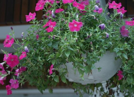 牽?；ǖ墓πc作用，牽?；ㄆ叽蠊πc作用