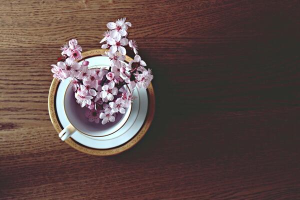 櫻花什么時(shí)候開(kāi)花，每年的4月開(kāi)花（花期15天左右）