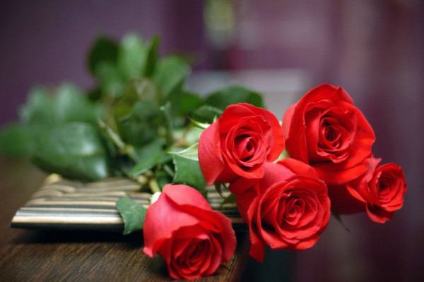 玫瑰花怎么保存，水培添加維生素C或啤酒液"