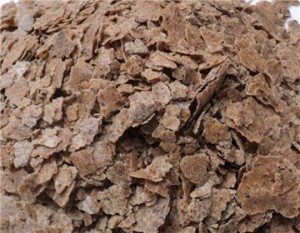 君子蘭施肥方法，加固肥和追液肥兩種方法讓你君子蘭年年開(kāi)花"