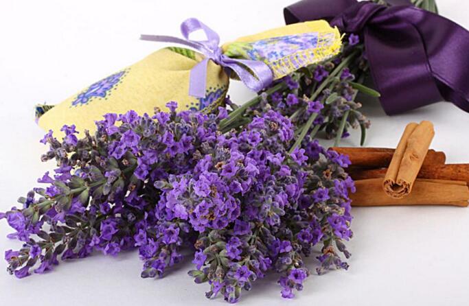 藍(lán)色薰衣草花語，一對戀人之間的心心相印"