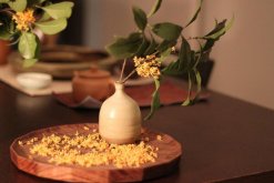 桂花扦插生根最快方法，關(guān)鍵是掌握正確的扦插方法"