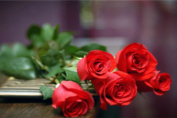 玫瑰保鮮方法，制成干花或添加保鮮劑