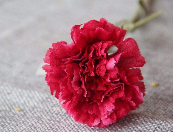 康乃馨怎么修剪，康乃馨修剪方法"