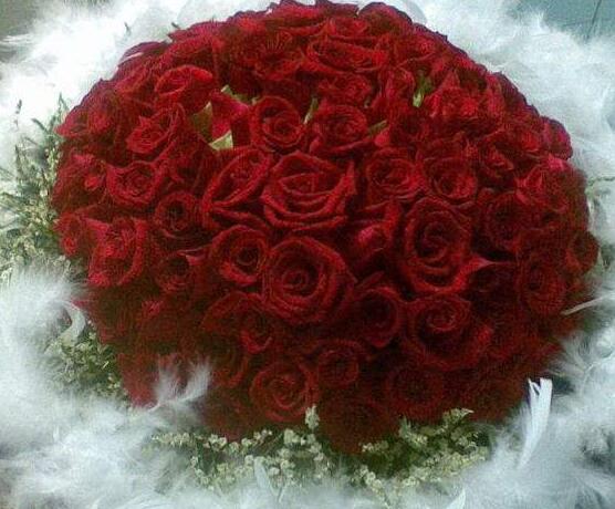 玫瑰花怎么修剪，玫瑰花修剪方法"