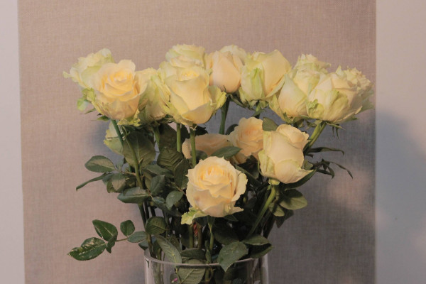 香檳玫瑰代表什么意思，愛(ài)上你是一生中最幸福的事"