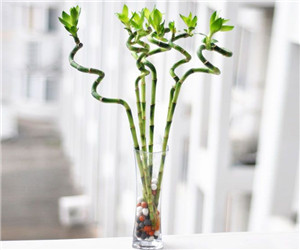 “轉(zhuǎn)運(yùn)竹”的制作方法"