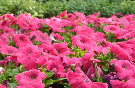 牽?；ㄔ趺词┓?，牽?；ㄊ┓史椒?