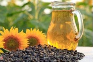 向日葵的藥用價值，向日葵的功效與作用"