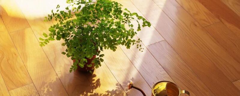 營養(yǎng)液的作用"