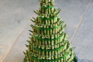 富貴竹花語是什么，富貴竹養(yǎng)幾根才最好"