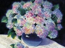 繡球葉子發(fā)黃怎么辦，光照太強澆水不當都會引起發(fā)黃"