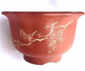 蘆薈換盆的注意事項(xiàng)"