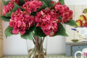 繡球花可以水培嗎，繡球花怎么在花瓶里養(yǎng)"