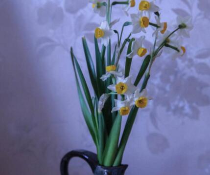 水仙花為什么要切球，有利于生長并且長得健壯"