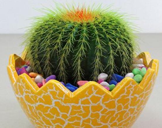 仙人球爛了怎么辦，及時(shí)修剪爛根、消毒/保持通風(fēng)透氣"