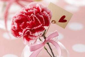 康乃馨花語是什么，康乃馨是送給什么人的"